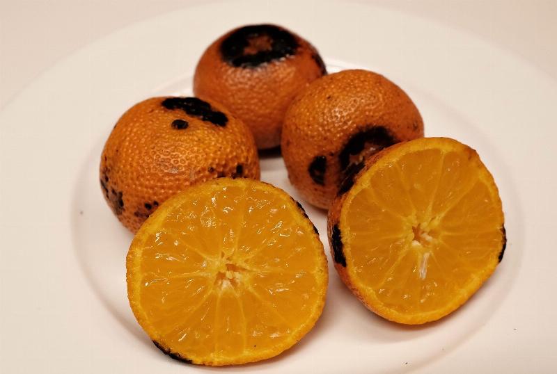 Hình ảnh minh họa nướng bạch tuộc trên bếp than hoa rực hồng